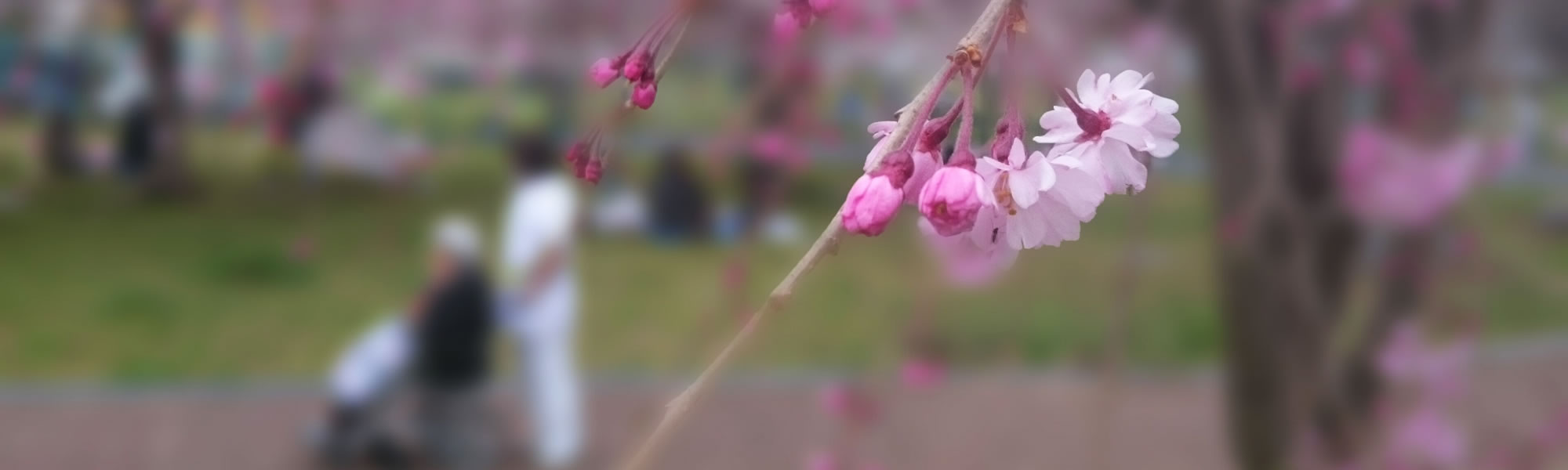 田中育英会